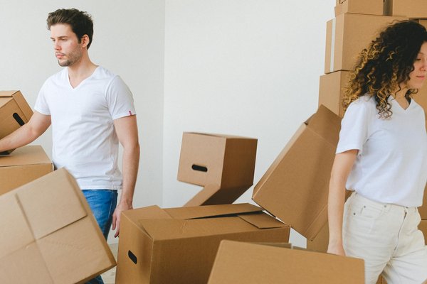 Comment le design biophilique peut-il transformer votre espace de vie ?